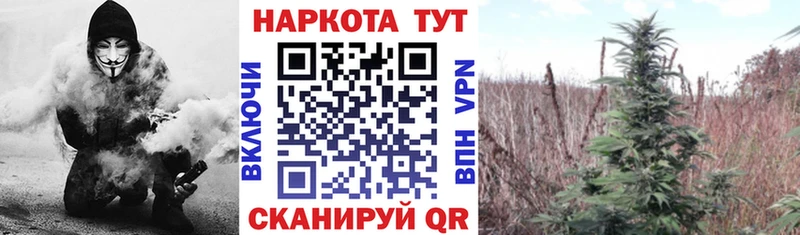 Как найти закладки Россошь Каннабис  Псилоцибиновые грибы  Вейп ТГК  ГАШ  АМФЕТАМИН  Cocaine  Мефедрон  СОЛЬ 