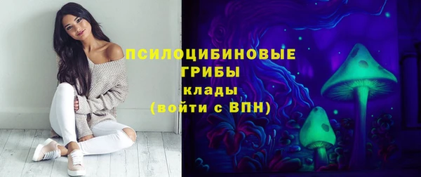 прущие крисы Арсеньев