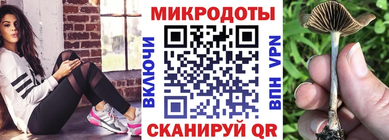 OMG вход  Россошь  Псилоцибиновые грибы ЛСД 